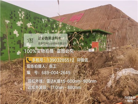 沙坪坝星空迷彩墙施工队
